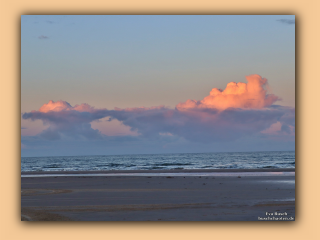Morgens am Saltum Strand (18).jpg